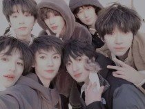 含羞草 隐藏 2023